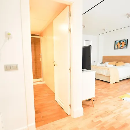 Renthas Madre De Dios Studio Apartamento *